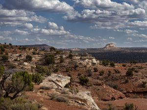 Preview wallpaper canyon, rocks, bushes, landscape, nature