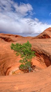 Preview wallpaper canyon, rocks, funnel, tree, nature, landscape