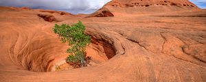 Preview wallpaper canyon, rocks, funnel, tree, nature, landscape