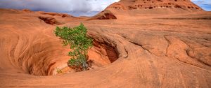 Preview wallpaper canyon, rocks, funnel, tree, nature, landscape