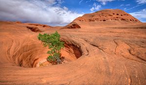 Preview wallpaper canyon, rocks, funnel, tree, nature, landscape