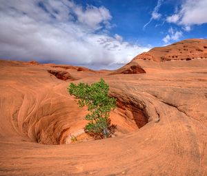 Preview wallpaper canyon, rocks, funnel, tree, nature, landscape