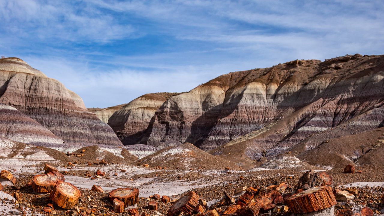 Wallpaper canyon, rocks, logs, nature, landscape