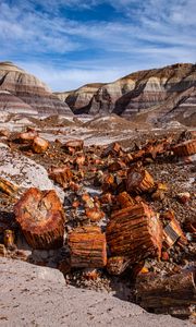 Preview wallpaper canyon, rocks, logs, nature, landscape