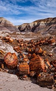 Preview wallpaper canyon, rocks, logs, nature, landscape