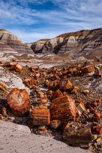 Preview wallpaper canyon, rocks, logs, nature, landscape