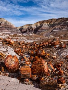 Preview wallpaper canyon, rocks, logs, nature, landscape