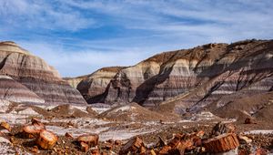 Preview wallpaper canyon, rocks, logs, nature, landscape