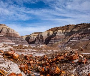 Preview wallpaper canyon, rocks, logs, nature, landscape