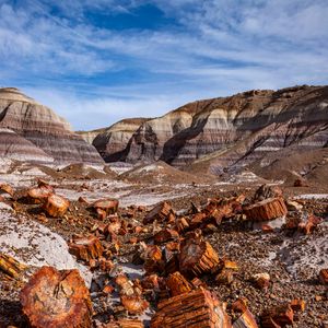 Preview wallpaper canyon, rocks, logs, nature, landscape