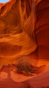 Preview wallpaper canyon, rocks, plant, dry, brown