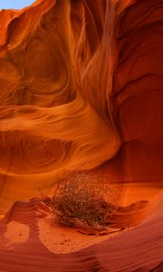 Preview wallpaper canyon, rocks, plant, dry, brown