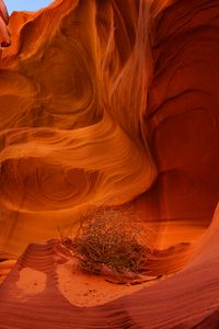 Preview wallpaper canyon, rocks, plant, dry, brown