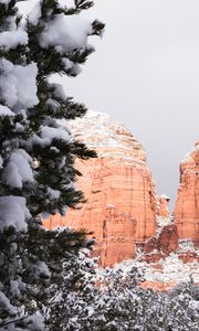 Preview wallpaper canyon, rocks, snow, trees, winter