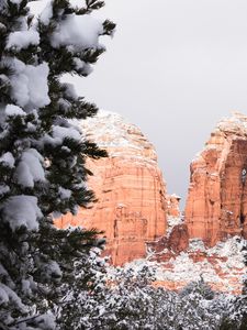 Preview wallpaper canyon, rocks, snow, trees, winter