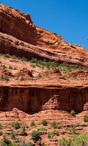 Preview wallpaper canyon, rocks, trees, nature