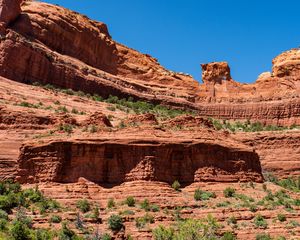 Preview wallpaper canyon, rocks, trees, nature