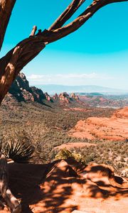 Preview wallpaper canyon, rocks, trees, landscape