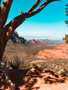 Preview wallpaper canyon, rocks, trees, landscape