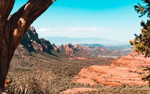 Preview wallpaper canyon, rocks, trees, landscape