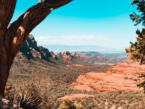 Preview wallpaper canyon, rocks, trees, landscape