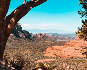 Preview wallpaper canyon, rocks, trees, landscape