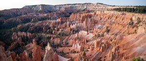 Preview wallpaper canyon, rocks, trees, landscape, nature