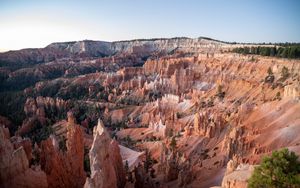 Preview wallpaper canyon, rocks, trees, landscape, nature