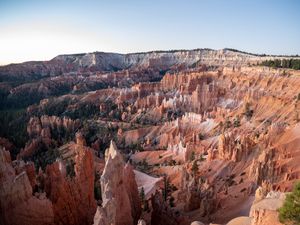 Preview wallpaper canyon, rocks, trees, landscape, nature