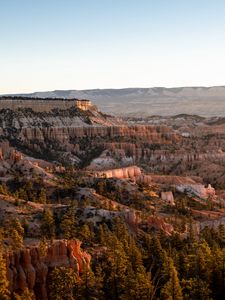 Preview wallpaper canyon, rocks, trees, nature, landscape