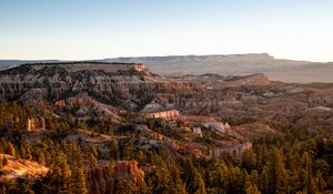 Preview wallpaper canyon, rocks, trees, nature, landscape