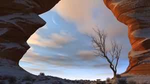 Preview wallpaper canyon, snow, tree, gorge, sky