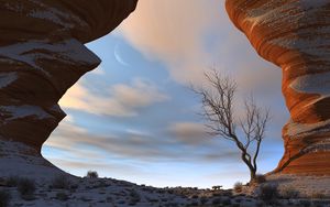 Preview wallpaper canyon, snow, tree, gorge, sky