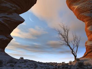 Preview wallpaper canyon, snow, tree, gorge, sky