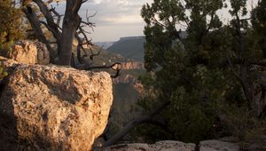 Preview wallpaper canyon, stones, tree, dry, nature