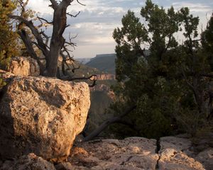 Preview wallpaper canyon, stones, tree, dry, nature