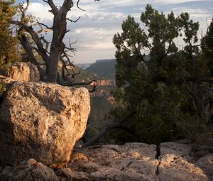 Preview wallpaper canyon, stones, tree, dry, nature