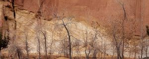 Preview wallpaper canyon, wall, rocks, trees, sand, fall