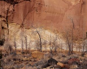 Preview wallpaper canyon, wall, rocks, trees, sand, fall