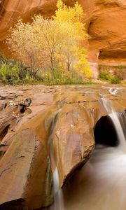 Preview wallpaper canyon, water, stream, stones, sharp, trees, vegetation, utah