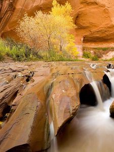 Preview wallpaper canyon, water, stream, stones, sharp, trees, vegetation, utah