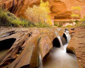 Preview wallpaper canyon, water, stream, stones, sharp, trees, vegetation, utah