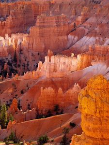 Preview wallpaper canyons, desert, trees