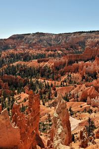 Preview wallpaper canyons, height, trees, desert