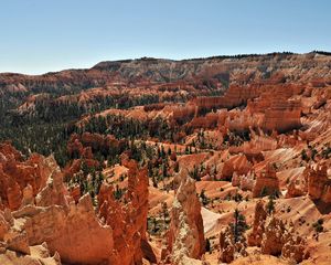 Preview wallpaper canyons, height, trees, desert