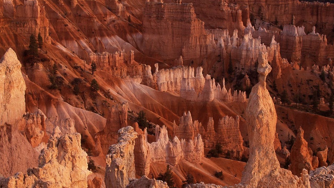 Wallpaper canyons, national park, vegetation, utah