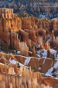 Preview wallpaper canyons, snow, trees, winter, yellow, white