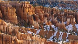 Preview wallpaper canyons, snow, trees, winter, yellow, white