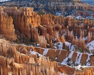 Preview wallpaper canyons, snow, trees, winter, yellow, white