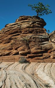 Preview wallpaper canyons, stones, strips, lines, bushes, trees, vegetation